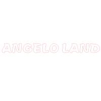 ANGELO LAND (非标尺寸单价)精品发光字欧邦标识
