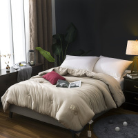 迪士尼（DISNEY）商务水洗被DDM01-2023C