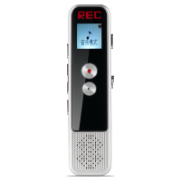 山水录音笔H-611DJ点睛