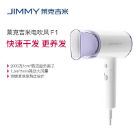 莱克-负离子吹风机 F1