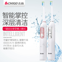 志高(CHIGO)CG-108 电动牙刷 声波震动充电式成人电动牙刷