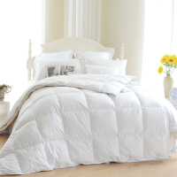 臻品羽绒被 200cmX230cm 羽绒3000g 高支纱精纺纯棉舒适、柔和、锁绒