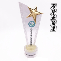 定制 水晶五角星奖杯8*30cm