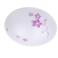 佛山照明 吸顶灯Φ350 25W65K芯爱系列水仙