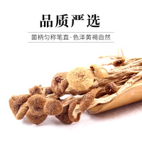 茶树菇105G
