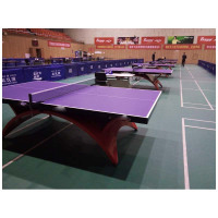 乒乓球台比赛训练球桌