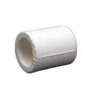 日丰(RIFENG) PPR管箍 DN32 (10个/组)--(组)白色 大连