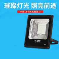 LED 射灯 (100W)(一盏装)
