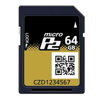 松下 AJ-P2M064BMC 64GP2