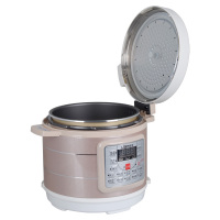 联创(Lian)电压力锅-电压力锅DF-BL6031M