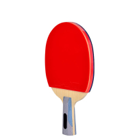 红双喜 乒乓球拍双面反胶