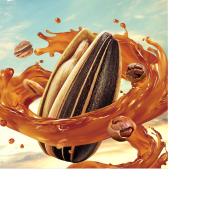 江南世家 葵花籽坚果炒货零食品 水煮工艺 好吃不上火 T22169