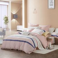 LOVO家纺 罗莱生活出品四件套-DH