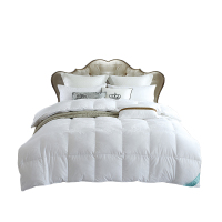 维科家纺(VEKEN) 奢雅至尊鹅绒被