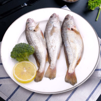 优质 东海野生海鲜套餐 B(带鱼500g+马鲛鱼中段300g+白姑鱼300g+小鲳鱼200克)