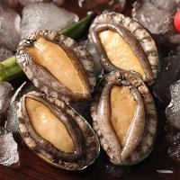 优质 东海野生海鲜套餐 C(皱纹盘鲍380g+野生小管(小)400g+野生鲳鱼(中)150g)