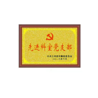 陇步昇 定制款 奖牌 木板50*35cm