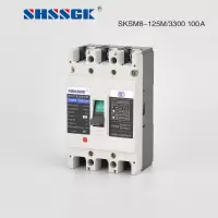 赛时工控 SKSM8-125/2P 100A 低压开关,断路器,100A,两相 (计价单位:个)