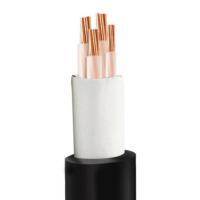 CCSM 铜芯电缆 3*16²+1*10²铜芯电线[价格为每米单价]