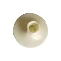 莲蓬头 80mm 1个