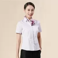 白底紫条女士短袖衬衫