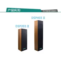 DSPPA线性音响DSP403II