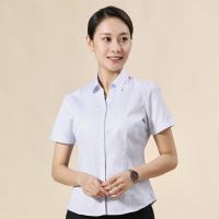 白底蓝条女士短袖衬衫