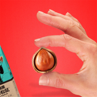 三只松鼠坚果礼盒 100起订