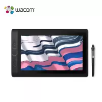 和冠 Wacom 新帝Pro DTH-W1321L 创意移动电脑 数位板 数位屏 黑色