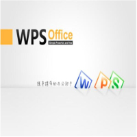 金山办公软件WPS专业版 升级版