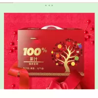 果汁饮品 100起订