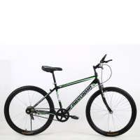 Alice 奥韵玛自行车