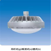 OL 防爆固态照明灯 LX608