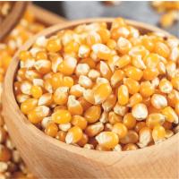 爆米花玉米24kg/袋