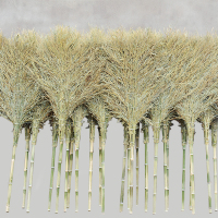 茂楠 环卫大扫把户外加大加宽扫院子扫帚扫把