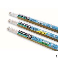 飞利浦 PHILIPS TLD 18W/33 Philips T8直管荧光灯18W中性白 7个