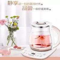 荣事达(Royalstar) 养生壶 YSH1760 单台装