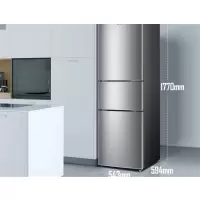 容 声 三门冰箱小型 218升家用电冰箱 节能 小冰箱 BCD-218D11N