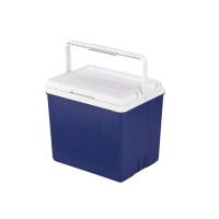 爱斯基 ESKY 33L车载家用车用冰块保温箱