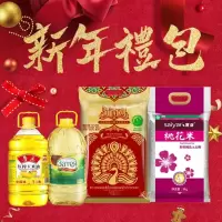 2020年新春福利300元套餐