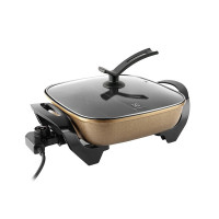 伊莱克斯(ELECTROLUX)EGHP1020 鸳鸯锅体电火锅 .单台装