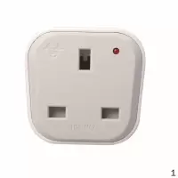 公牛 BULL GN-L01CE 公牛英标转换器 10个