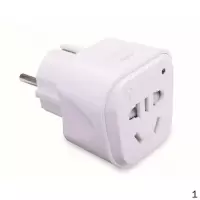 公牛 BULL GN-901G 欧标转换器,10A 250V 1个