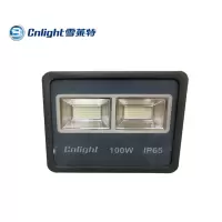 雪莱特 投光灯100W(个)