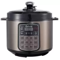 【精选】 格兰仕(Galanz) YB5040 5L电压力锅