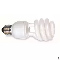 飞利浦 PHILIPS T2 15W WW E27 220-240V 1CT/24 Philips T2螺旋节能灯15W