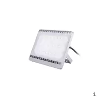 飞利浦 PHILIPS BVP161 LED39/WW 50W 220-241V WB 飞利浦 LED投光灯LED泛光灯