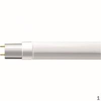 飞利浦 PHILIPS 1200mm 20W865 T8 CN I LED 经济型T8灯管(1200mm/20W865/
