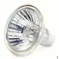 飞利浦 HALOSPOTONE 50W B22 240V_1E9504 Philips 石英灯杯50W/ 5个