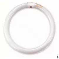 飞利浦 PHILIPS TLE 32W/840 Philips 三基色环形荧光灯32W/G10q中性白 1支